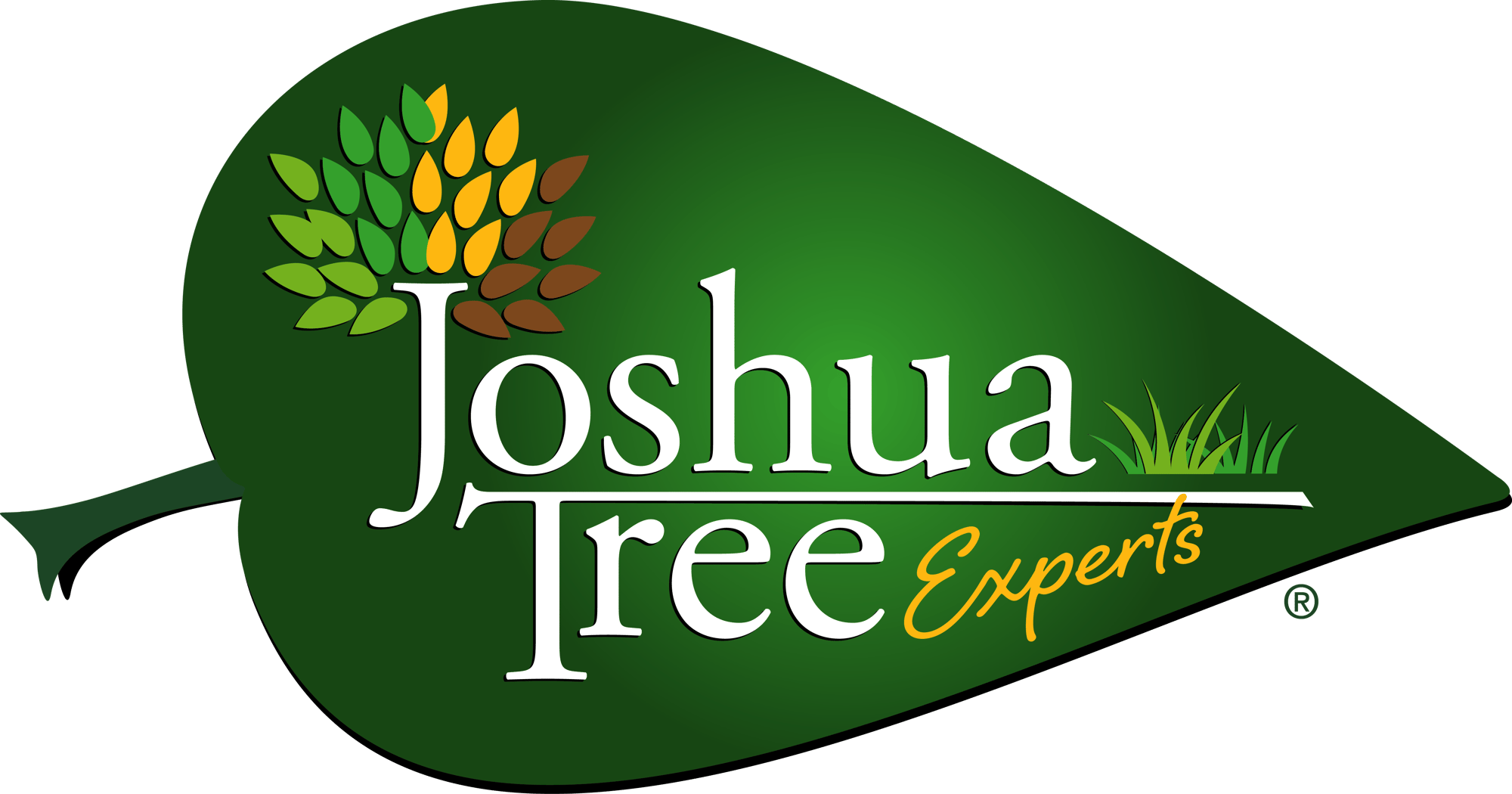 main_logo