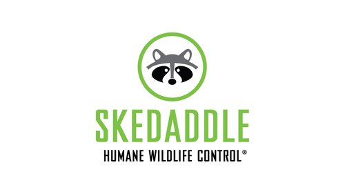 Skedaddle logo