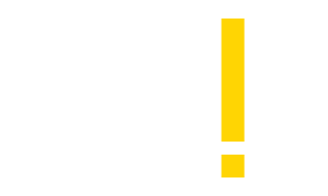 Blingle! logo