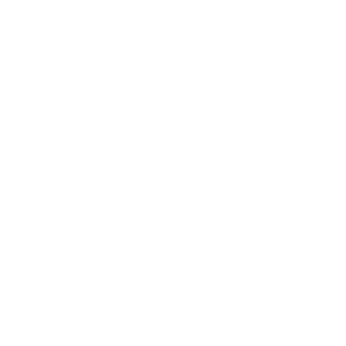 Body Fit Training logo
