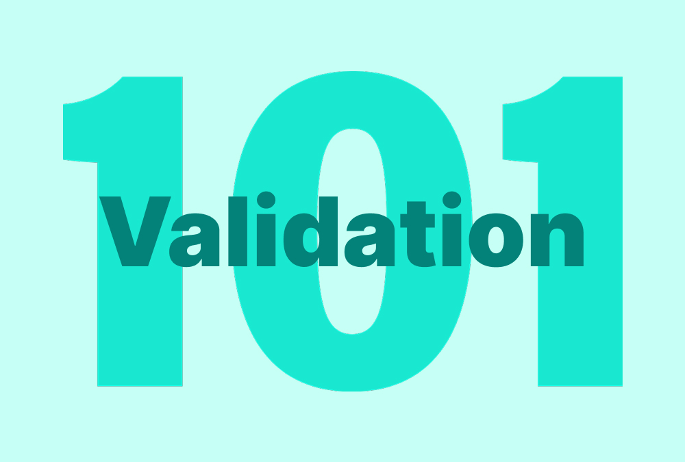 The text “Validation 101” displayed in large teal lettering on a light teal background.
